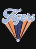 Auburn University Tigers Design Classic Unisex T-Shirt
