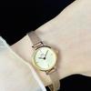 DANIEL WELLINGTON Европейские и американские часы Часы кварцевый механизм стальной ремешок 19 мм золотой циферблат женские часы подарочная коробка DW00100741