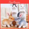 Easter Rabbit Zodiac Plush Toy Cartoon Stuffed Doll Room Decoration Gift Kids