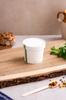 Pla Container With Lid 350 , 14.2 X 12.4 X 5.5 50 Pcs