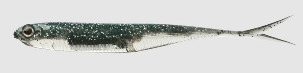 Fish Arrow Мягкая приманка Flash J Split SW 4 дюйма, 5 шт. в упаковке #112 (8856)