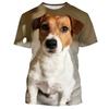 Jack Russell Terrier 3D Print Short Sleeve Tee Summer Kid Top For Daily Play Outdoor Gathering Leisure Daily Trip Wear