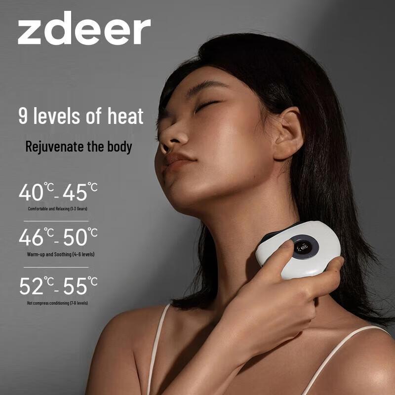 Zuodian Mini Bian Stone Electric Guasha Massager CN plug (adapter included)