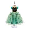 Anna Princess Green Cosplay Dress Girls Elsa Theme Costume Frozen Role Play Gown Party Outfit Kids Performance Wear