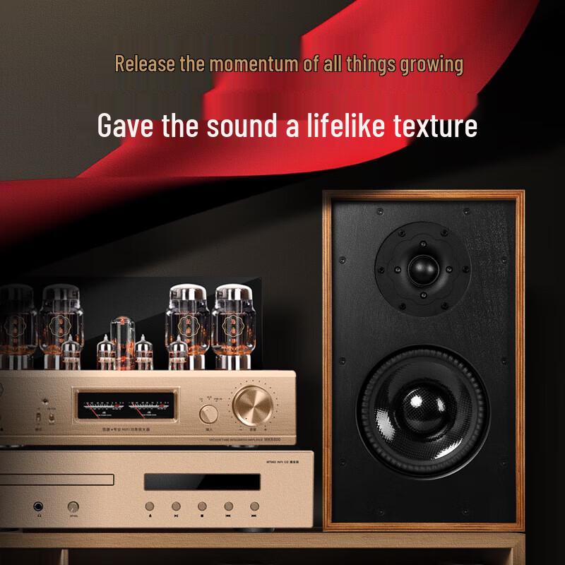 Youtang D998 HiFi Vacuum Tube Amplifier and Speaker System (CN version)