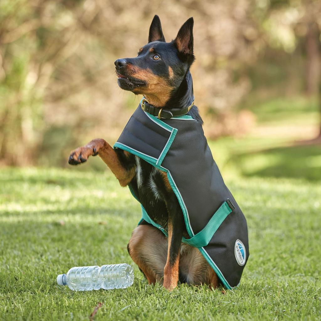 Weatherbeeta Пальто для собак Green-Tec 900D Lite Plus