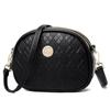 Small Bag Women's Bag 2025 New Fashion Type Middle-aged Mother Bag Atmospheric Women's Mini Bag Shoulder Crossbody Bag