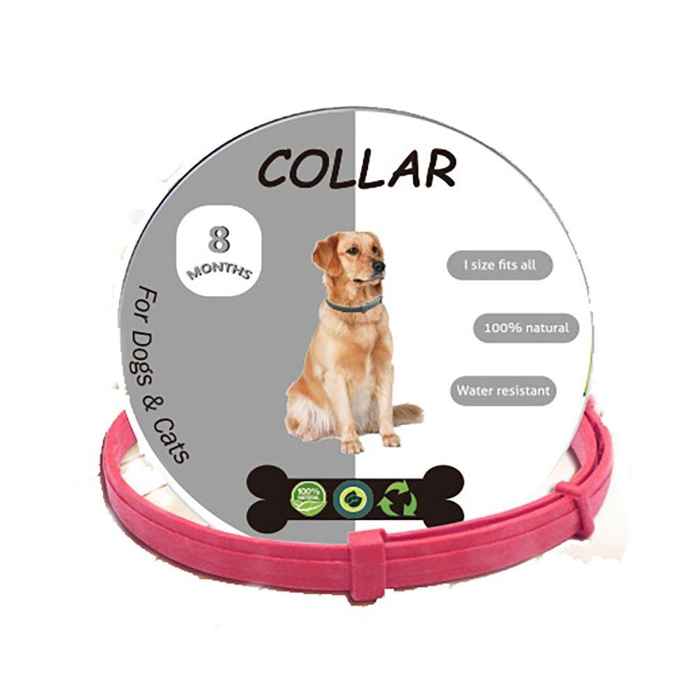 8 Month Protection Flea and Tick Collar Retractable Pet Supplies Antiparasitic Collar  Teddy