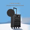 Edifier PW312S Портативная Bluetooth-колонка для караоке с большим объемом, штекер CN (адаптер в комплекте)