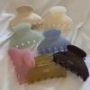 Французская золотая этикетка Jelly Solid Color Medium Hair Clip - Acetic Acid Half-Claw Shark Clip