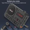 Мини портативный FM-радиоприемник, многофункциональный радиоприемник, Bluetooth-динамик, рекордер со светодиодным дисплеем, переключение папок, TF-карта, воспроизведение U-диска