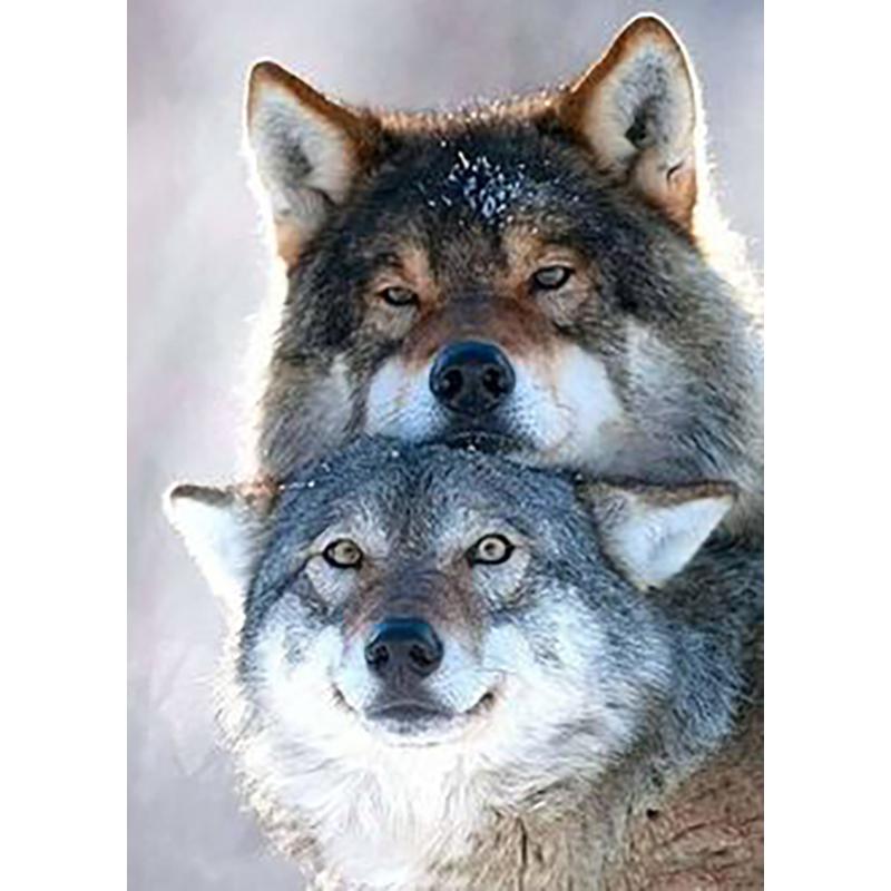 Diy волк 5D алмазная живопись полная круглая дрель смола мультфильм животных Алмазная вышивка набор крестиков домашний декор настенный художественный подарок