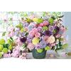 1000 Piece Jigsaw Puzzle Spring Harmony X (50 75cm)