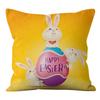 Пасхальный кролик Наволочка Домашняя подушка Наволочка