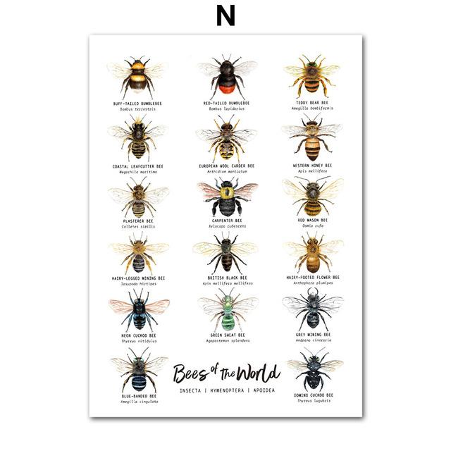 Насекомые, птицы, бабочки, сафари, образовательные плакаты с животными и принты, холст, украшение для детской комнаты, домашние картины, детская комната