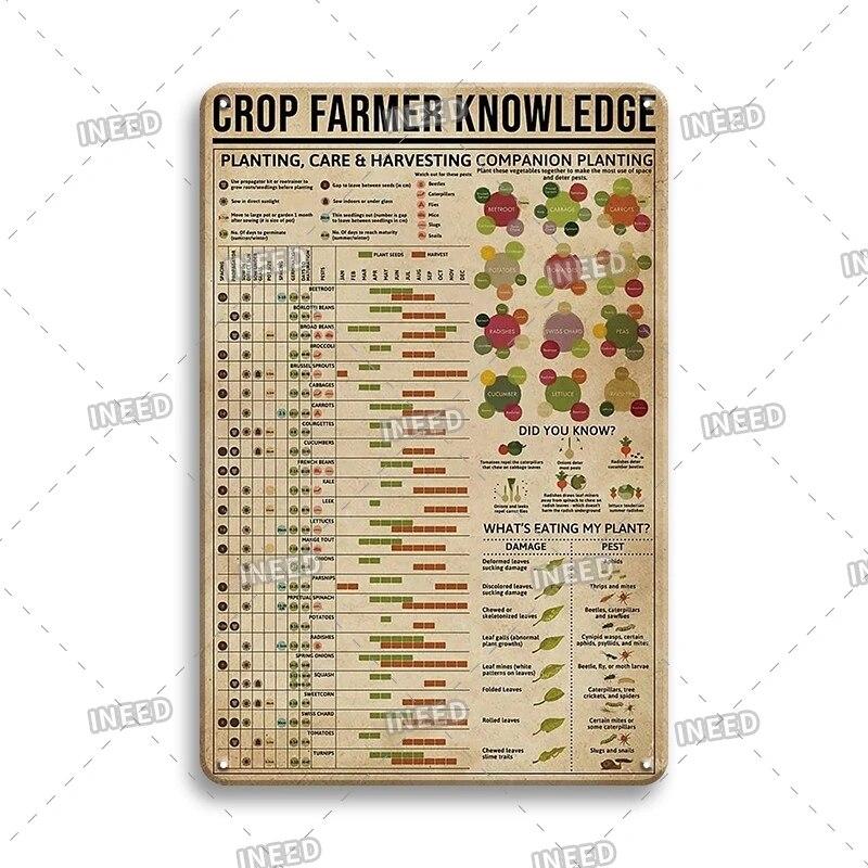 Оловянный знак Знание стоматолога Колли винтажная доска художественный плакат для стоматологического кабинета фитнес-клуба офиса ванная комната Настенный декор подарок
