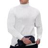 Fashion 2025 Autumn and Winter Men's Solid Color Turtleneck Sweater Twisted Pullover Base Knit Sweater