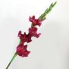 Artificial Gladiolus Flowers 22" Real Touch Flower with Long Stem 4 Full Blooms