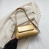 Chic Casual Mini Shoulder Bag For Women Fashionable Square Design In Multiple Colors