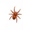 Realistic Spider Fridge Magnet Decoration Halloween Spider Magnet  Kitchen Decor