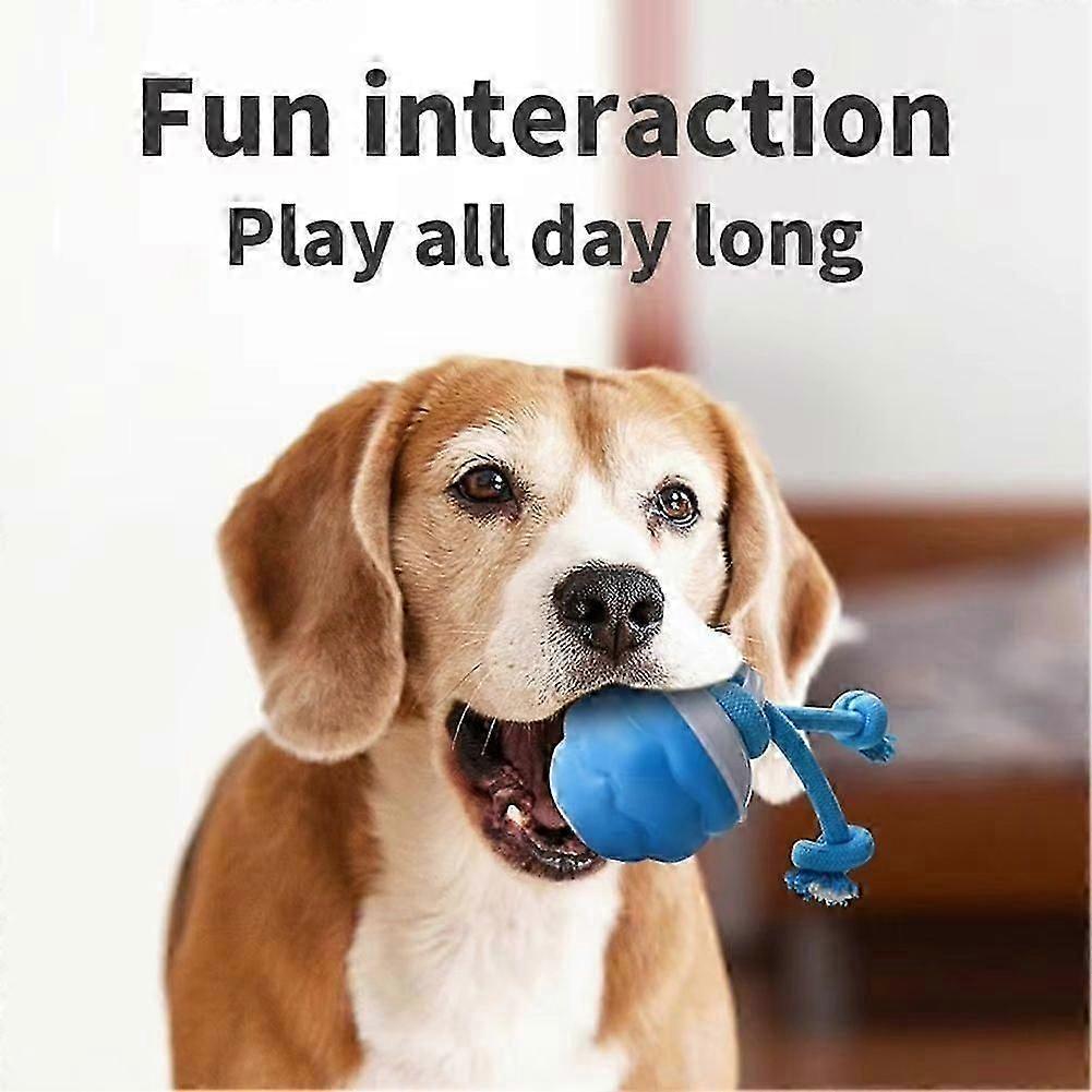 Rechargeable Interactive Dog Toy Ball, Motion Activated Rolling Ball for Small Pet Dog, Indoor Outdoor Training & Boredom Buster