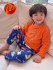 Little Boys Fleece Pajama Set, Cute Dinosaur Pattern Long Sleeve 2 Piece Sleep Set, Warm Plush Loungewear,4-7Y Boys Pjs For Home Sleeping