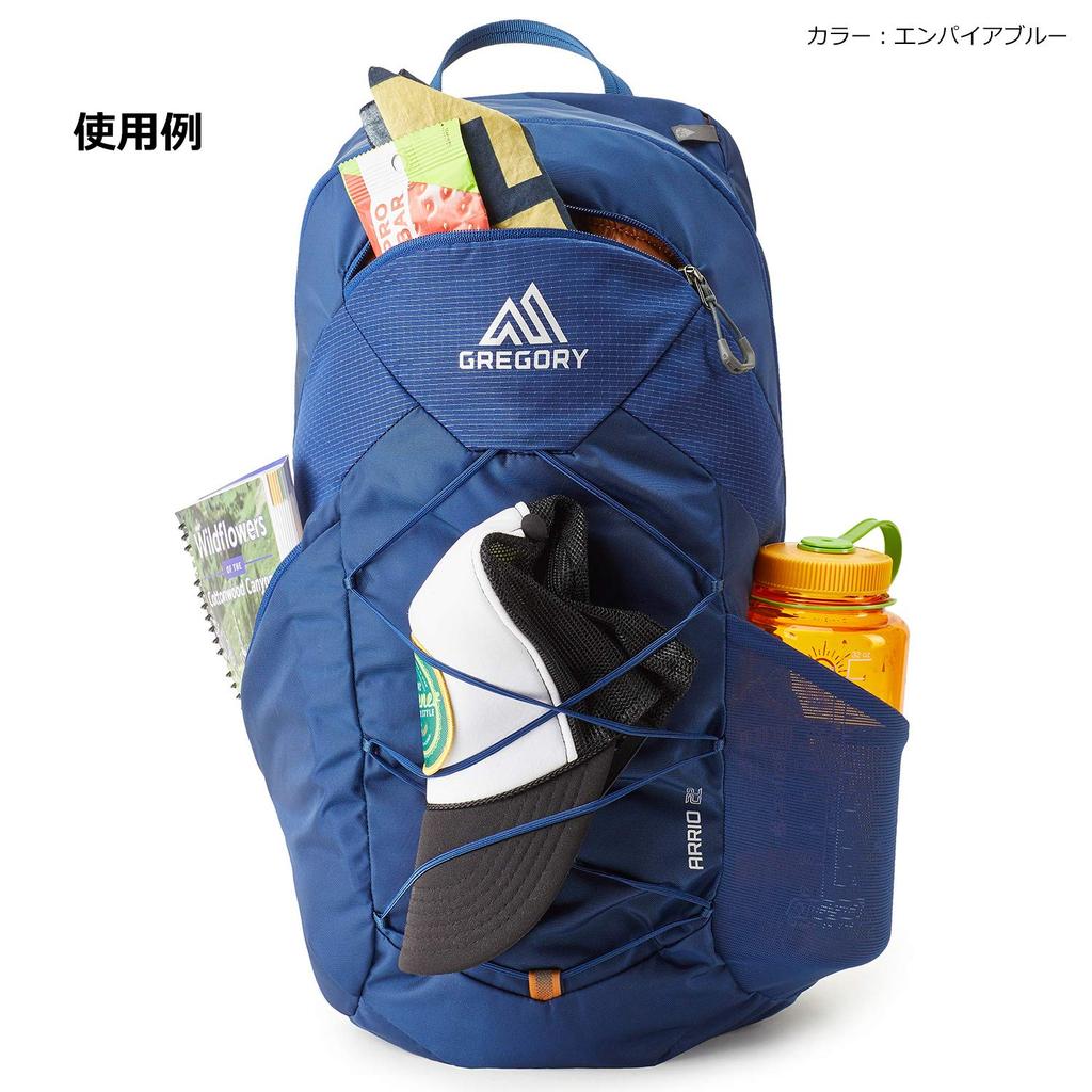 Рюкзак Ario 22 Frame Black Free Size [Gregory]