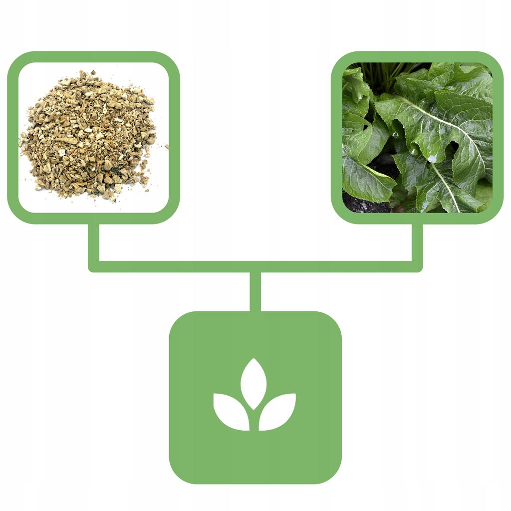 Horseradish Root 500 G Natural Shop