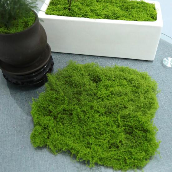30/100 г Искусственный Зеленый Мох Поделки для DIY Комнатные Растения Сказочные Сады Центральные Элементы Стола Аквариумы Микроландшафт Декоративный Искусственный Мох