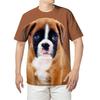 Summer Round Neck 3D Animal Dog Print Top Fashionable Casual Short Sleeved Men's T-shirts