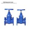 MJNB DN50 Flange Gate Valve