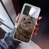 Забавный чехол для телефона с мемами про кошек для Samsung Galaxy A12 A52S A42 A32 A22 A51 A50 Note 20 Ultra 10 S10 Plus A71 A70 A31 A30 A10S Ga
