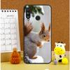 Squirrel Cute Animals For Huawei Nova 9 10 SE 3i 7i 8i 11i 12i Y60 Y61 Y70 Y72 Y73 Y90 Y91 P20 P30 P40 Lite Case