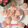 Silicone Ear Nose Lip Feature Model for Display and Training with Stud Holders