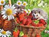 Full Diamond Squareround Kit Painting Hedgehog Mushroom Basket Embroidery Animal Fruit Mosaic Home Decor