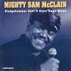 CD MIGHTY SAM MCCLAIN - Sledgehammer Soul And Down Home Blu AQCD1042 AudioQuest Musi 1996 США Блюз Б/У