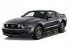 Ford Mustang 2005-2014 - Хром планки, хром боковые двери