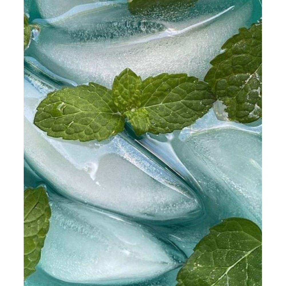 Шампунь для глубокого очищения кожи головы Nesh Mint Biome