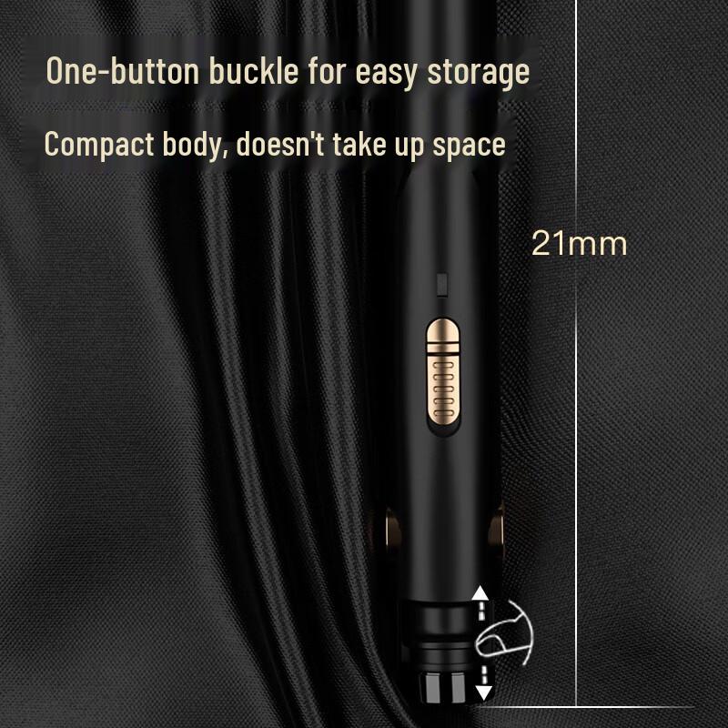 RIWA RB-8200 Men's Compact Hair Straightener and Curler CN plug (adapter included)