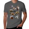 T Is For Taunisexdua Tshirt Summer Festival Tshirt