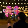 Ancient Style Handheld Fish Lantern Luminous Goldfish Light  Festival Decoration