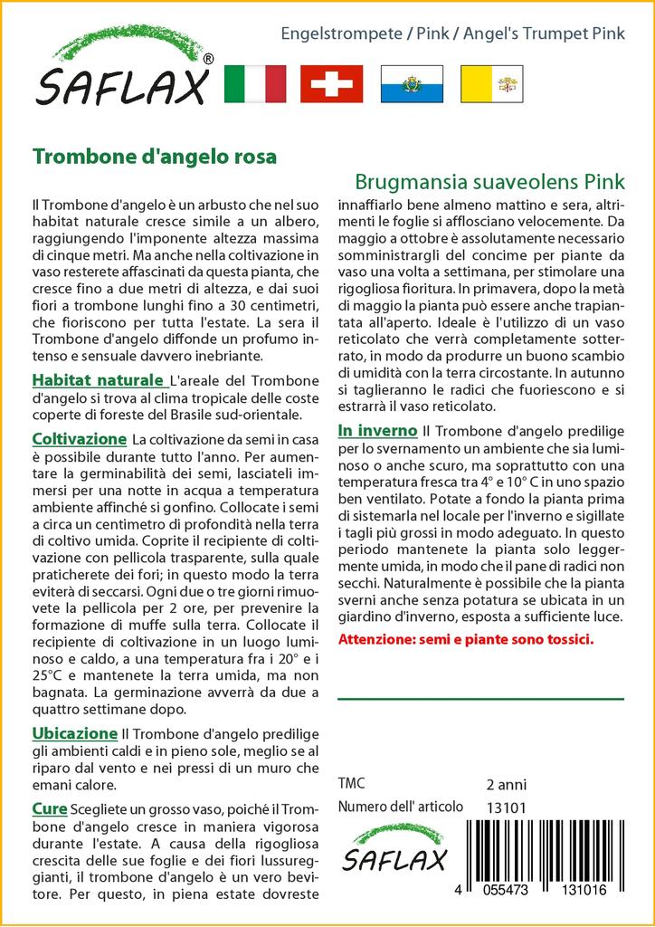 SAFLAX Angel's Trumpet Pink - 10 семян - Brugmansia suaveolens Pink