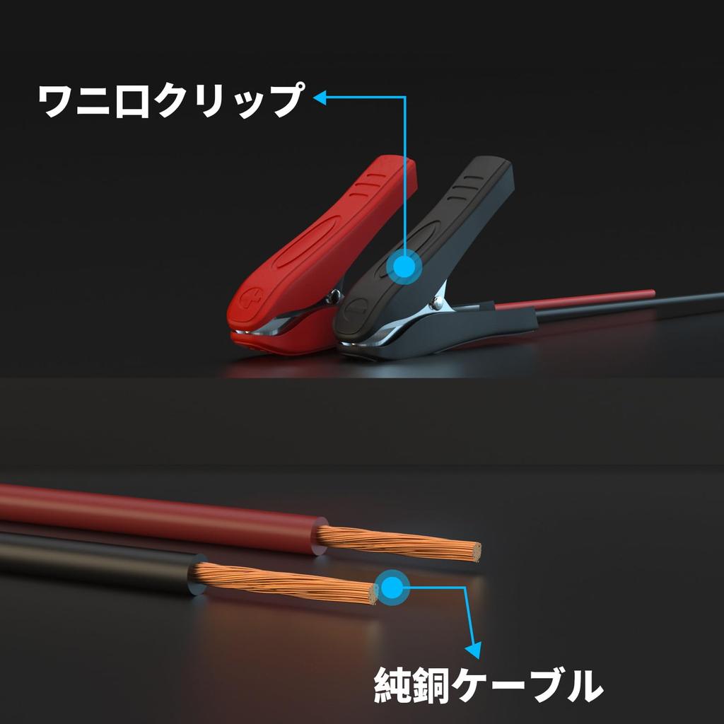 LeicesterCNL LST Charger for 6V and , Charger, Bad Identification, 72-Hour