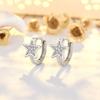 Niche Star Earrings for Women S Pure Needle Zircon Star Earrings for Women Super Flash Small Five-pointed Star Earrings
