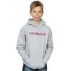 Harry Potter Boys Gryffindor Text Hoodie