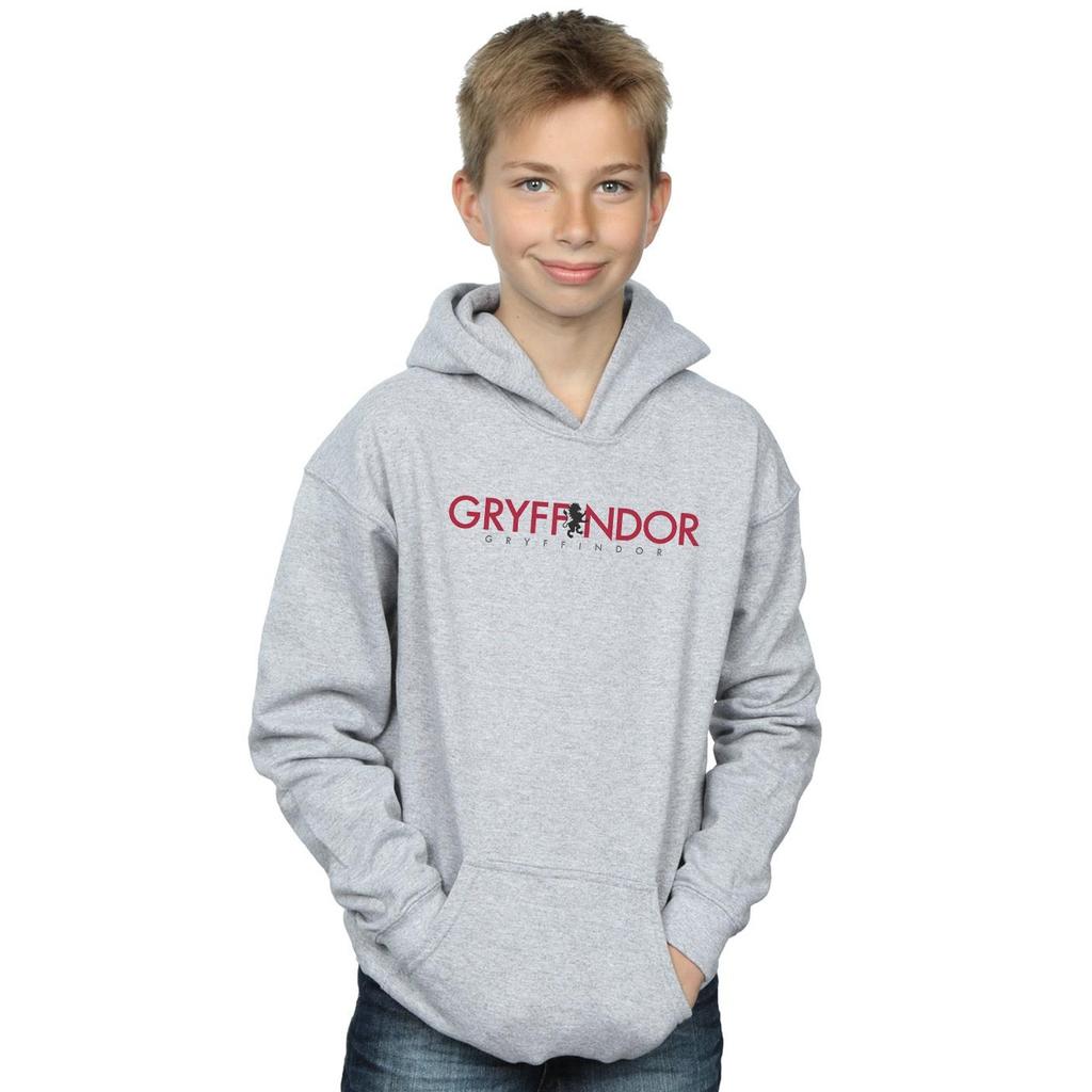 Harry Potter Boys Gryffindor Text Hoodie