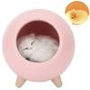 Warm Sleeping Night Lamp LED Bedside Light USB Charging Nursery Night Light with Cat Doll