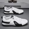 Men's Shoes Guochao 2025 New Summer Breathable Mesh Low-top Board Shoes Korean Version Comfortable Casual Shoes Forrest Gump Shoes