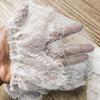 2M Кружево с цветочной вышивкой и бахромчатым краем Материал для DIY Ажурное кружево Материал для ручного шитья Свадебная вышивка