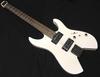 STWH Headless Guitar Electric Guitar Schecter Stratocaster Type NV Shape White OL-NV-HL See-through